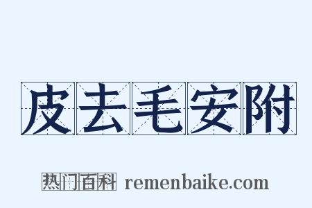 皮去毛安附是什么意思的图片
